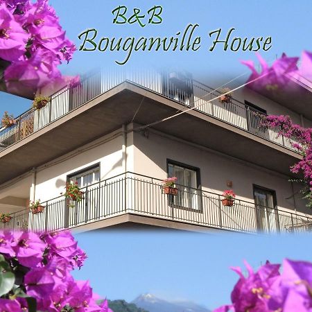 Bouganville House Zafferana Etnea Luaran gambar